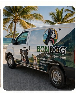 Bondog delivery on Bonaire